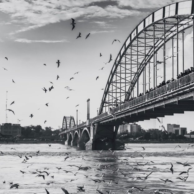 @5shanbe.ahvaz profile picture