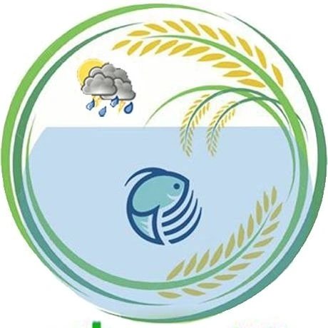 @anzali_rasht profile picture