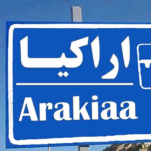 @arakiaa profile picture