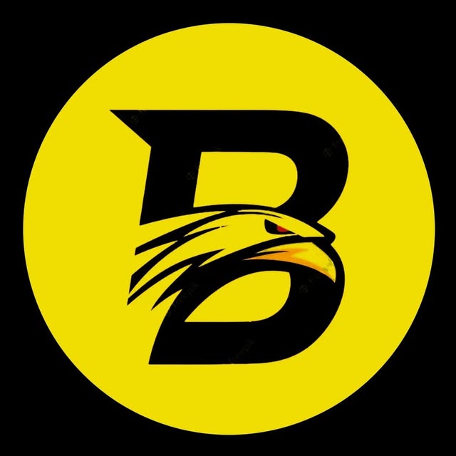 @berjiis.ir profile picture