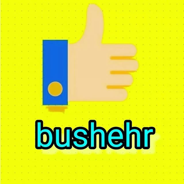 @bushehr.like profile picture