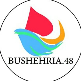 @bushehria.48 profile picture