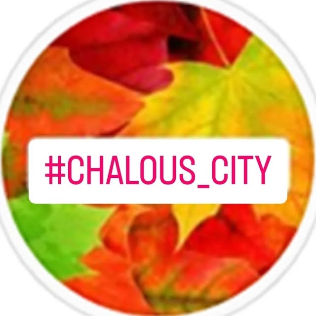 @chalous_city profile picture