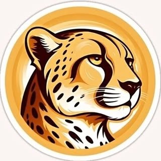 @chiita.ir profile picture