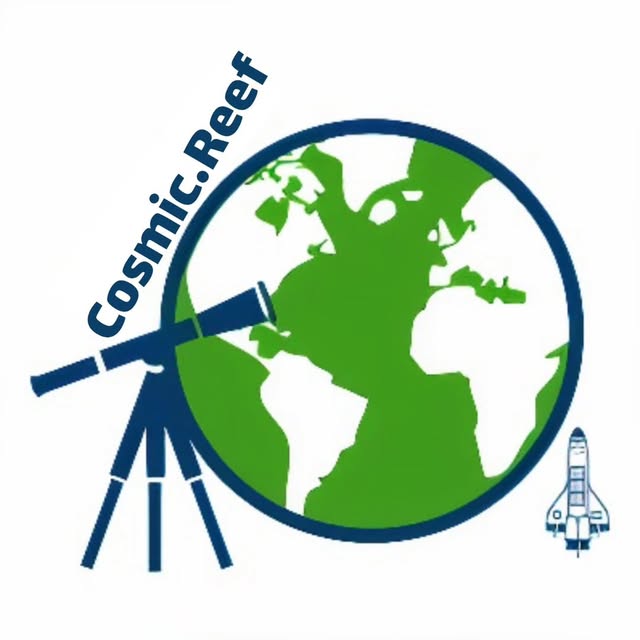 @cosmic.reef profile picture