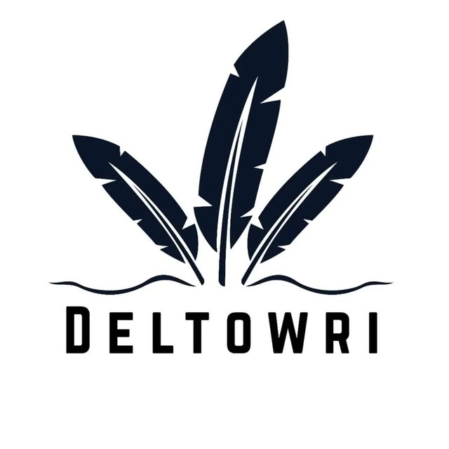 @deltowri profile picture