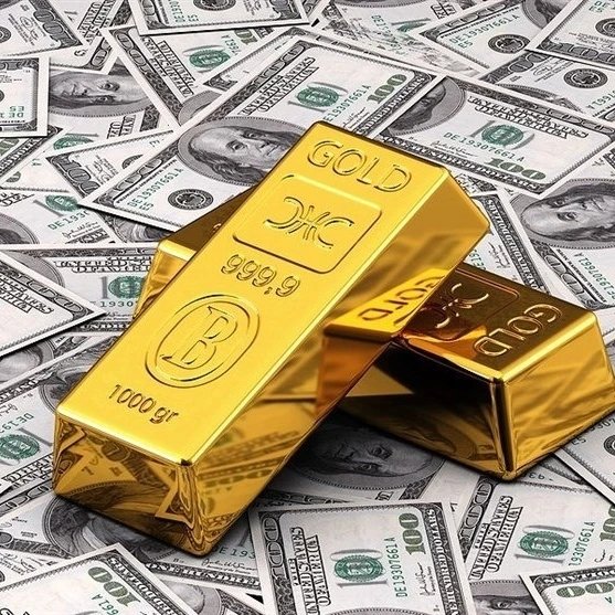 @dollar_ferdowsi profile picture