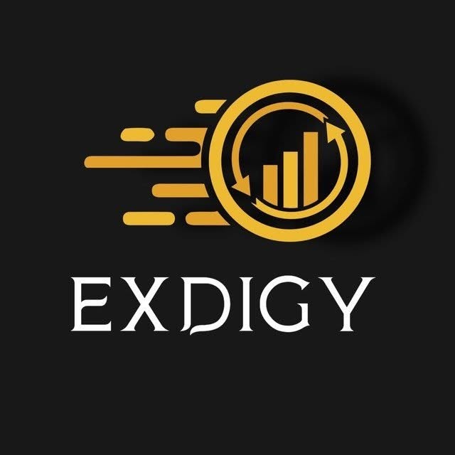 @exdigy profile picture