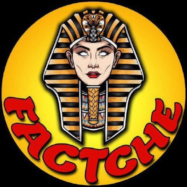 @factche profile picture