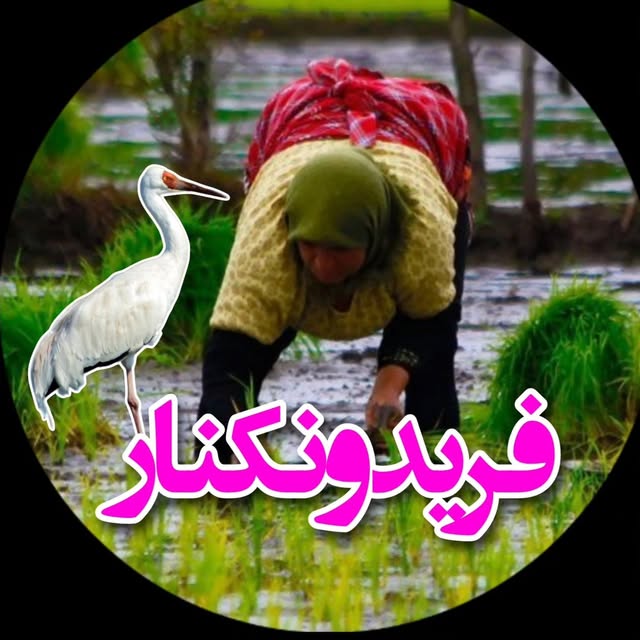 @fereydonkenar_zibayeman profile picture