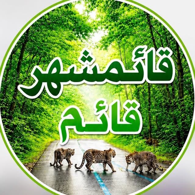@ghaemshahr_ghaem profile picture