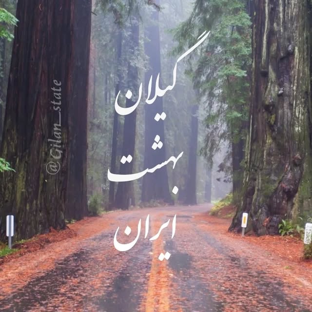 @gilan_state profile picture