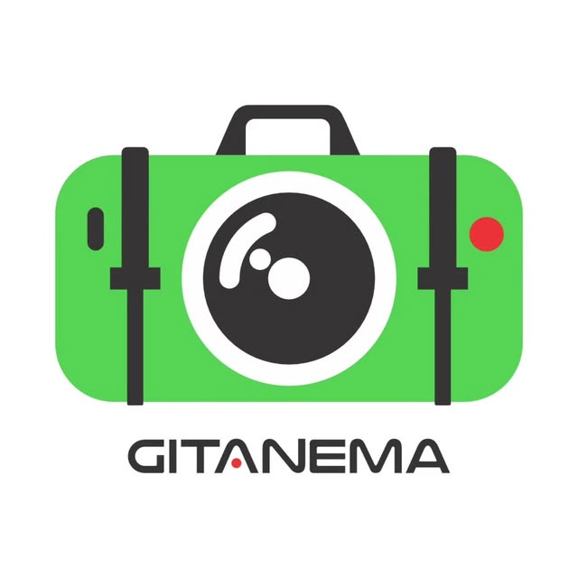 @gitanema profile picture