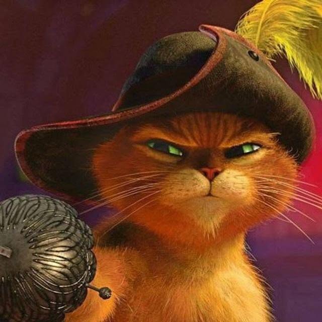 @gorbe_sherekk profile picture