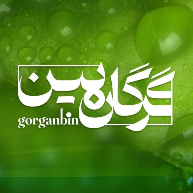 @gorganbin profile picture