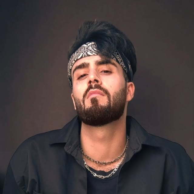 @habib.sabzian profile picture