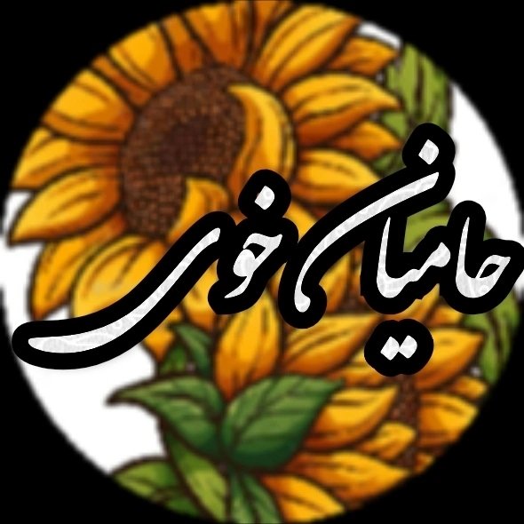@hamiyankhoy profile picture