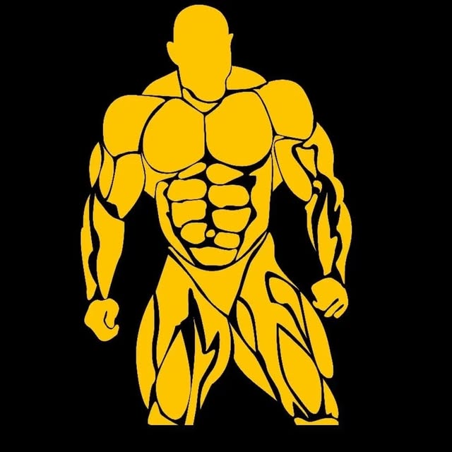 @hepbody profile picture