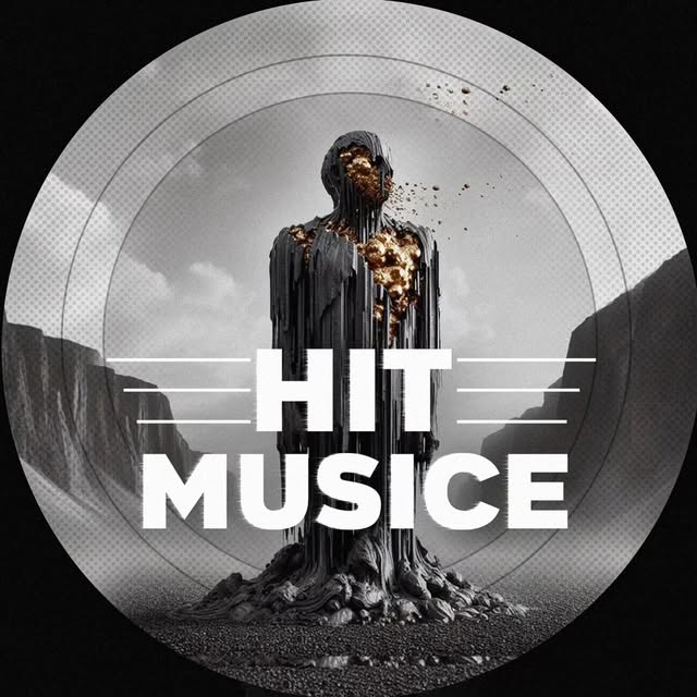 @hit.musicee profile picture