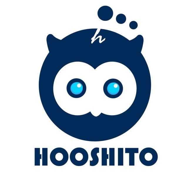 @hooshito_ai profile picture