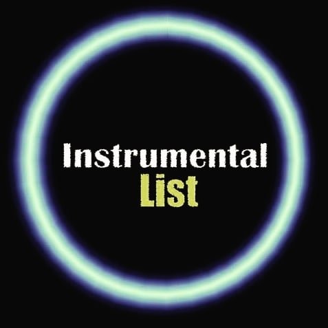 @instrumentallist profile picture