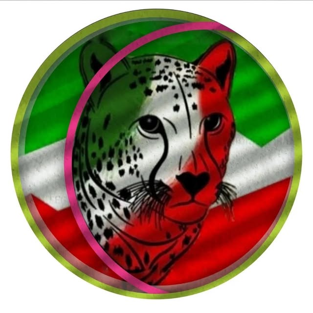 @iranlegioners_official profile picture