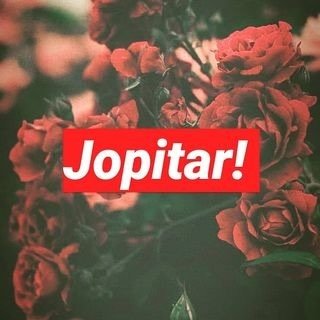 @jopitar profile picture