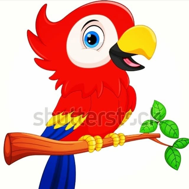 @koodak_man_sami profile picture