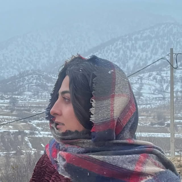 @leylibaharlou profile picture