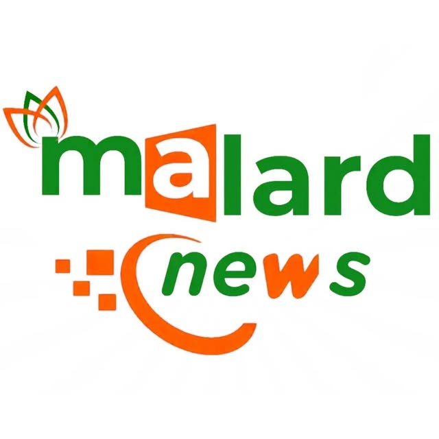 @malard.news profile picture