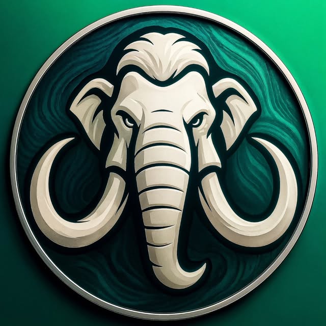 @mammut.fact profile picture