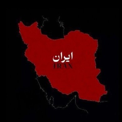 @maralshakerhosseini profile picture