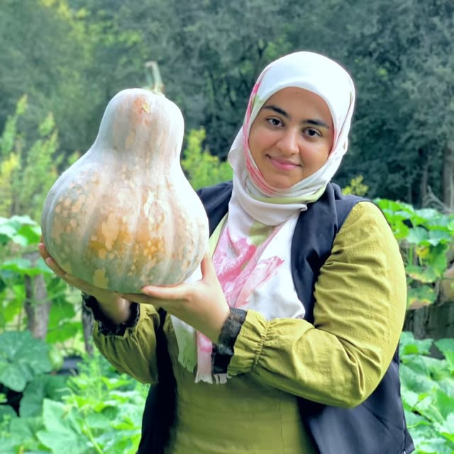 @marjanrokhsari profile picture