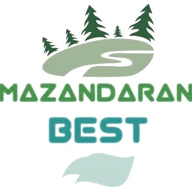 @mazandaranbest profile picture
