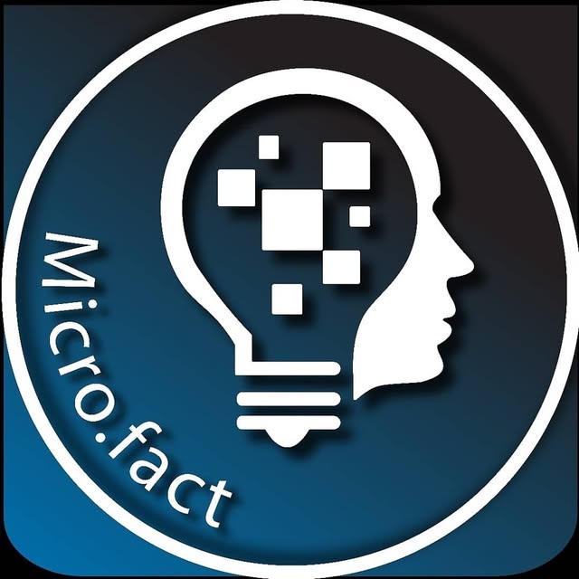 @micro.fact profile picture