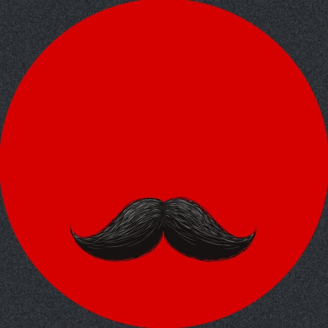 @mr_qermez profile picture