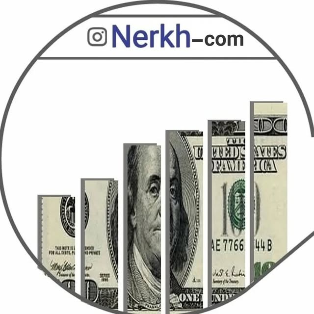 @nerkh_com profile picture