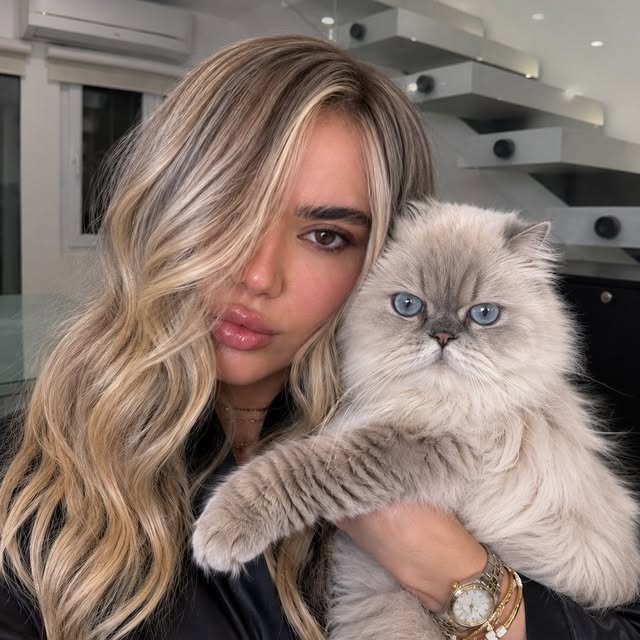 @paniiimirzaiii profile picture