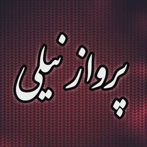 @parvaz.nili profile picture