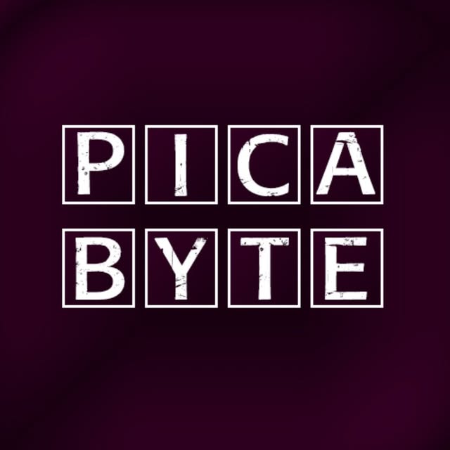 @picabyte profile picture