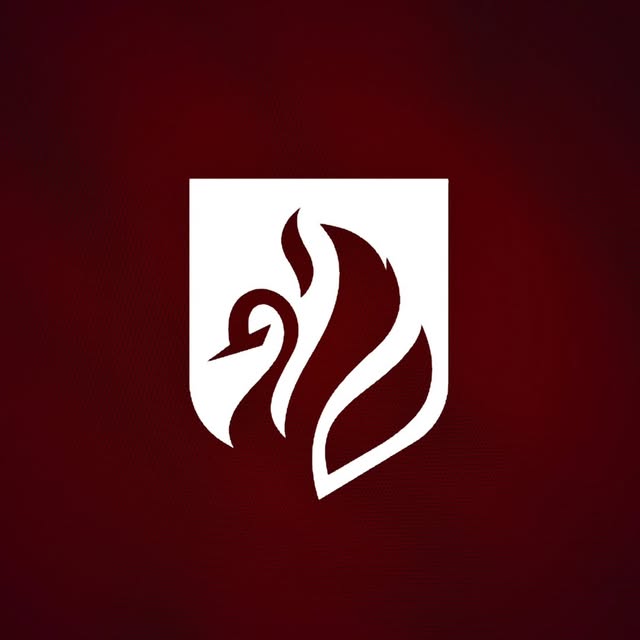 @quoqnoos profile picture