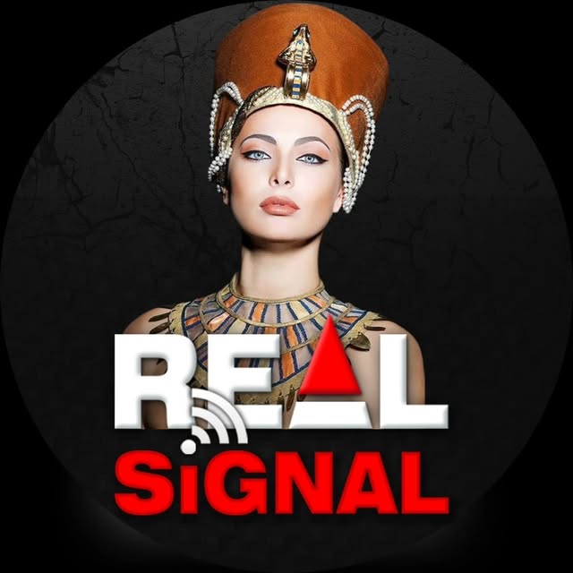 @real_signaal profile picture
