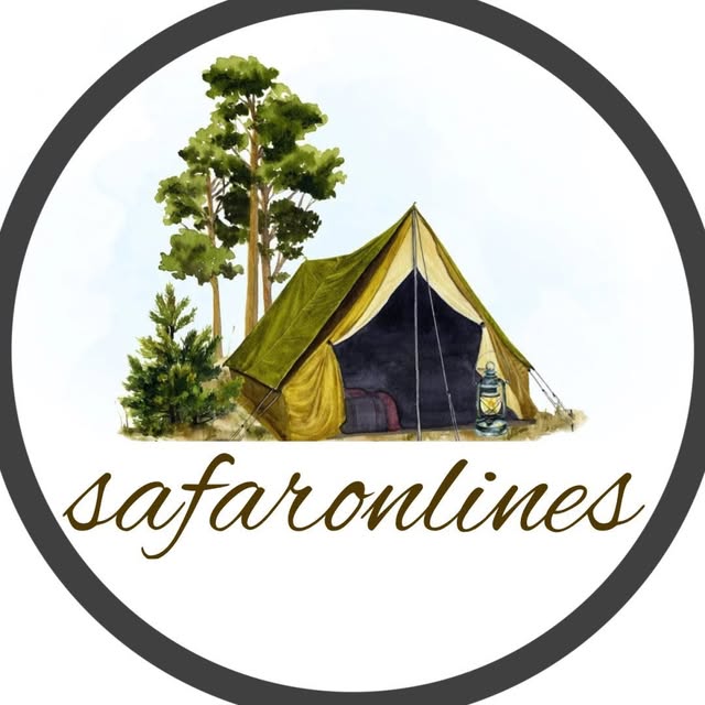 @safaronlines profile picture