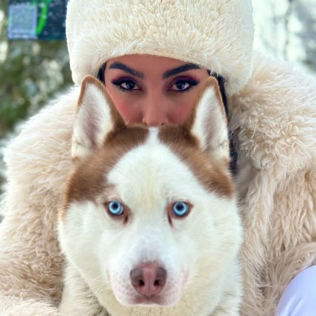 @salma.shakib profile picture
