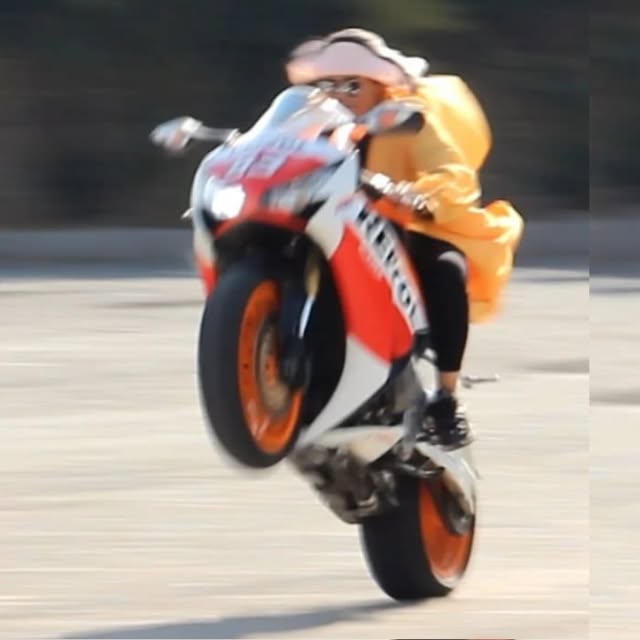 @sepidehmonster profile picture