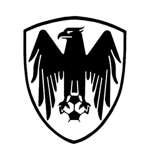 @shahinfc1943 profile picture