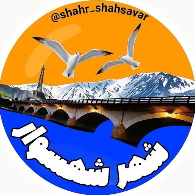 @shahr_shahsavar profile picture