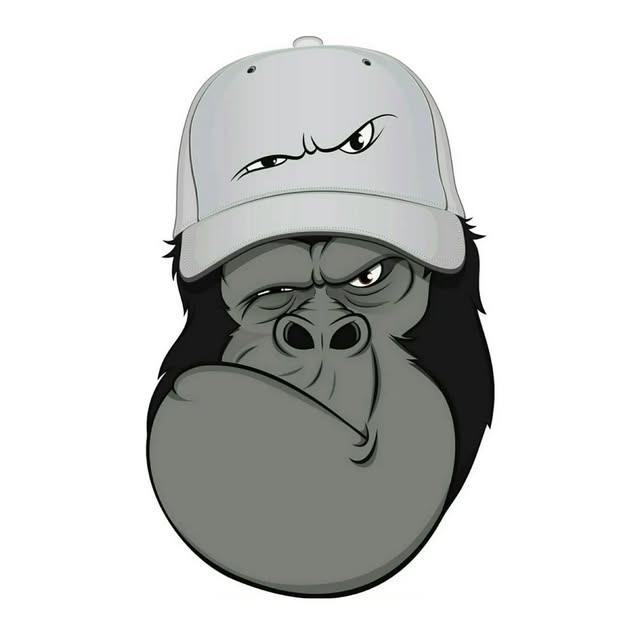 @shahreboogh profile picture