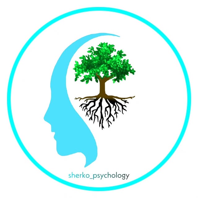 @sherko_psychology profile picture