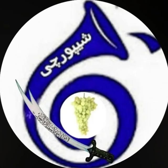 @sheypoorchi.tak profile picture